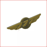 B777 wing, coat lapel pin, bronze colour