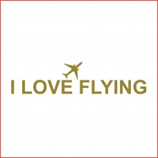 I love flying car sticker