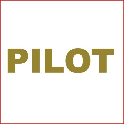 Pilot  car sticker, golden colour